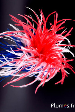 Plumet autruche avec anneau - ht 18 cm - bleu-blanc-rouge